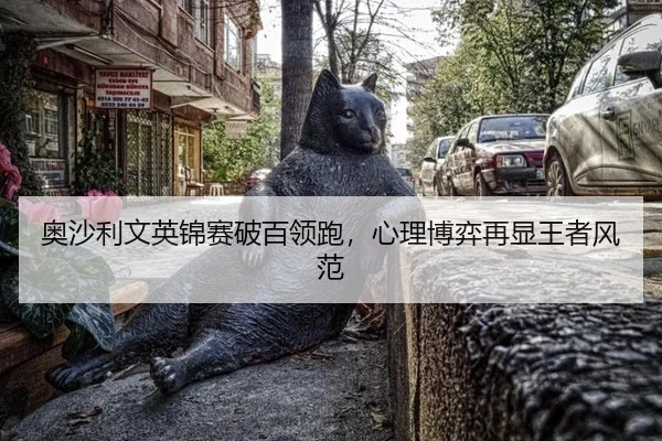 ao-sha-li-wen-ying-jin-sai-po-bai-ling-pao-xin-li-bo-yi-zai-xian-wang-zhe-feng-fan-2-490.jpg