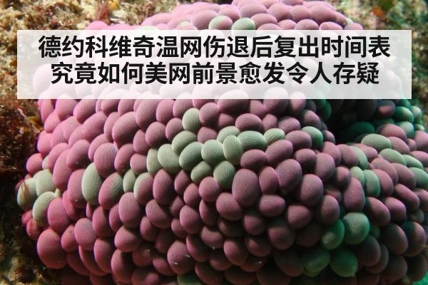 德约科维奇温网伤退后复出时间表究竟如何美网前景愈发令人存疑