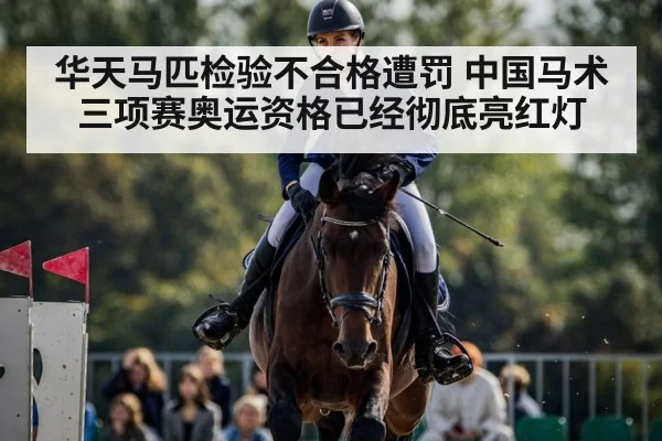 华天马匹检验不合格遭罚 中国马术三项赛奥运资格已经彻底亮红灯