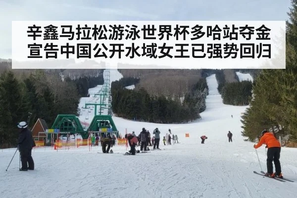 辛鑫马拉松游泳世界杯多哈站夺金宣告中国公开水域女王已强势回归